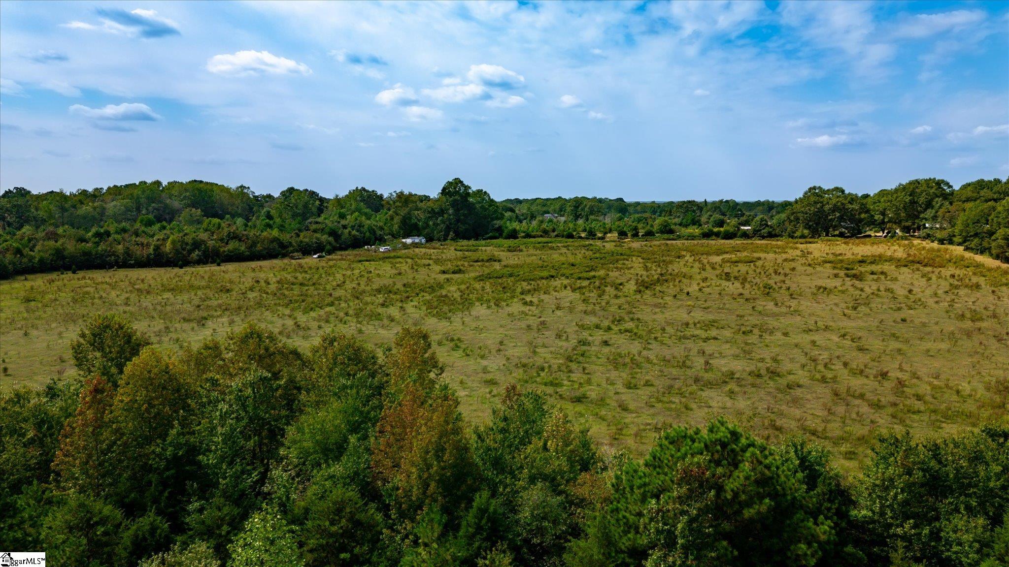 169 Cooley Bridge Road Pelzer, SC 29669 - Photo 13 of 24