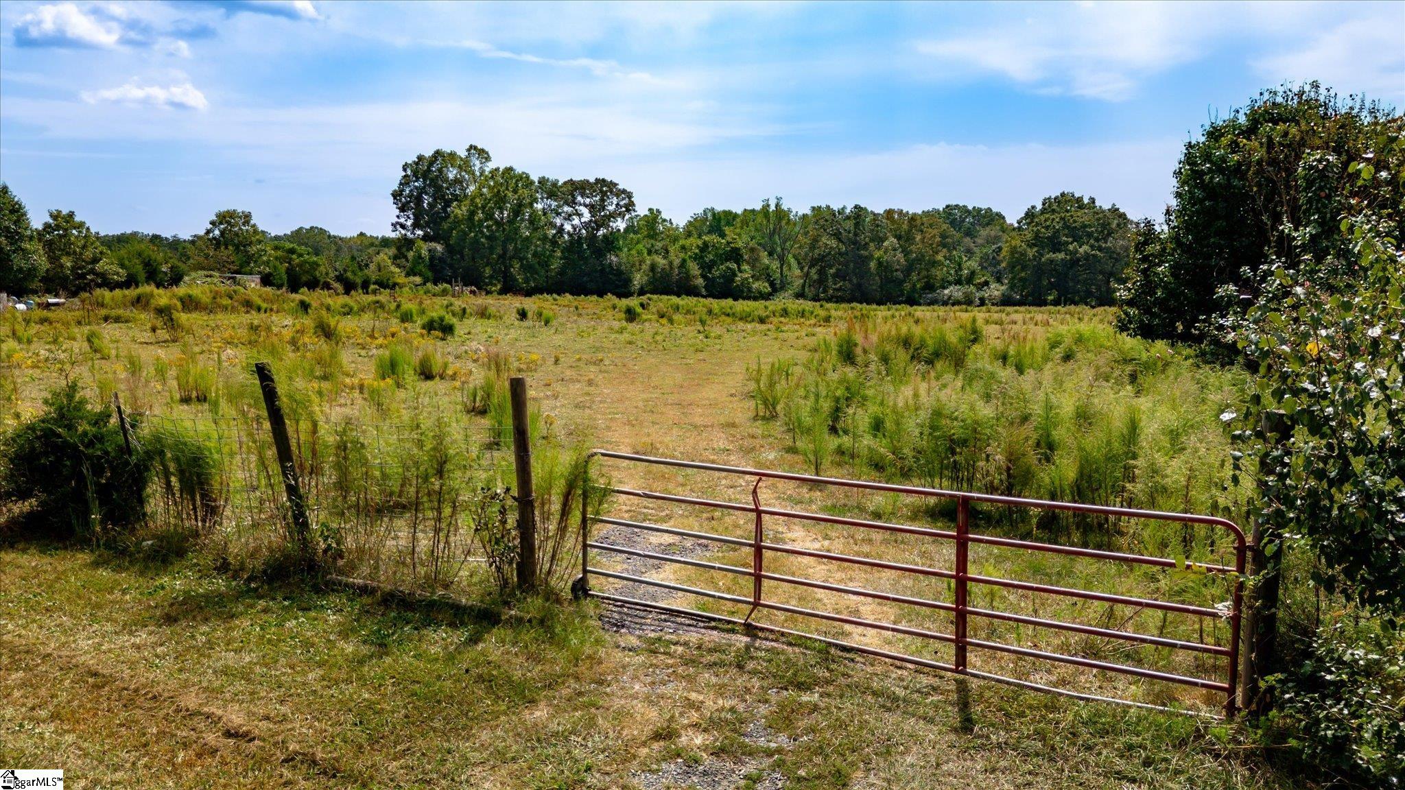 169 Cooley Bridge Road Pelzer, SC 29669 - Photo 2 of 24