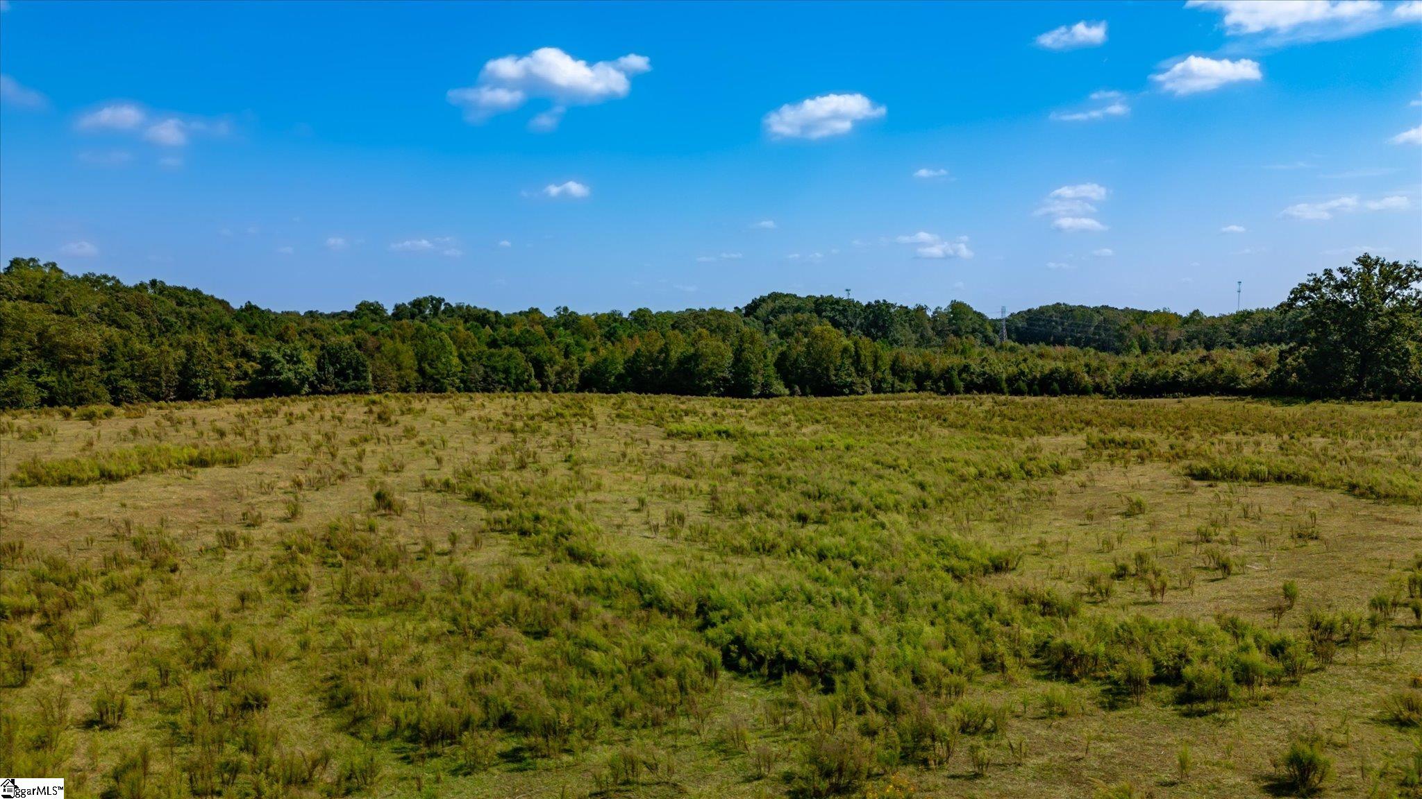 169 Cooley Bridge Road Pelzer, SC 29669 - Photo 3 of 24