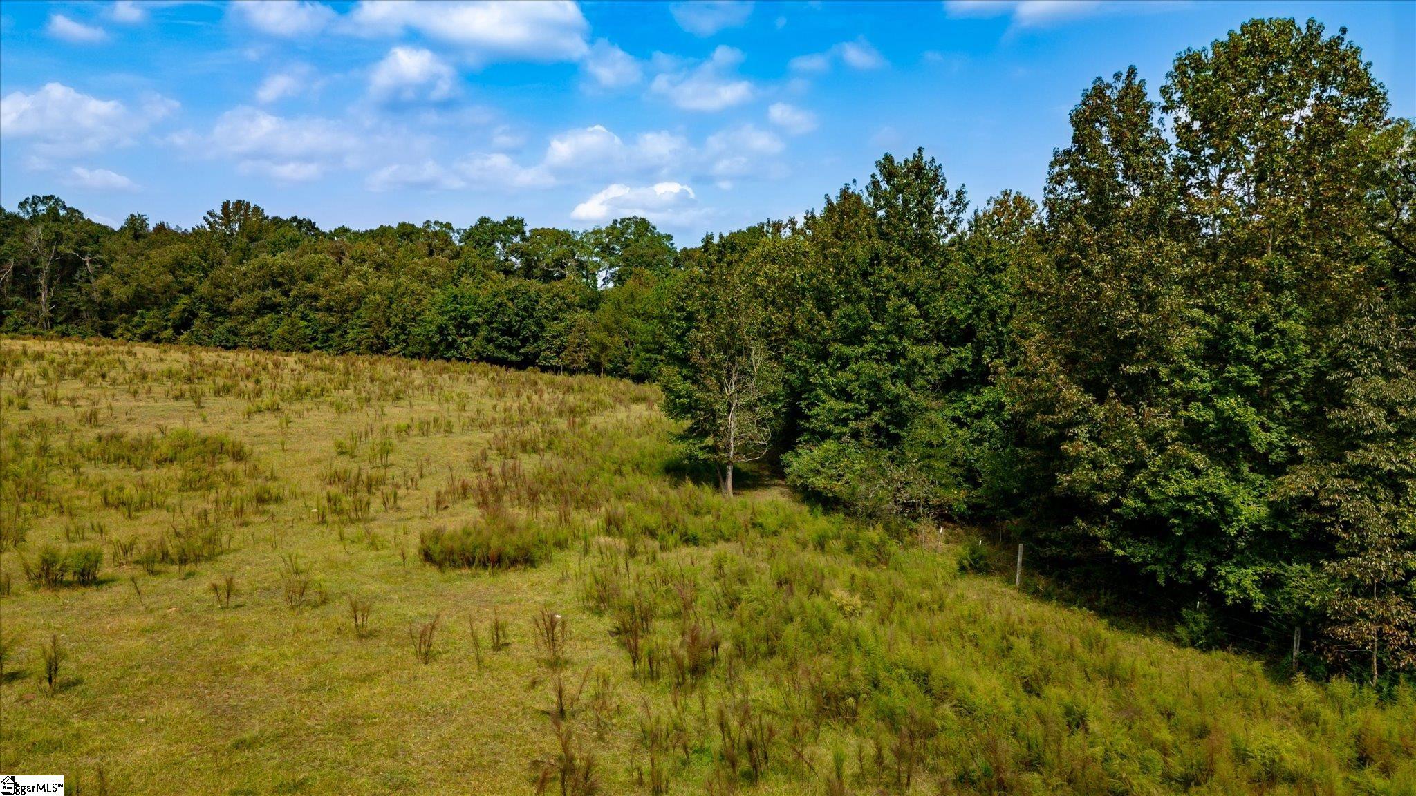 169 Cooley Bridge Road Pelzer, SC 29669 - Photo 4 of 24