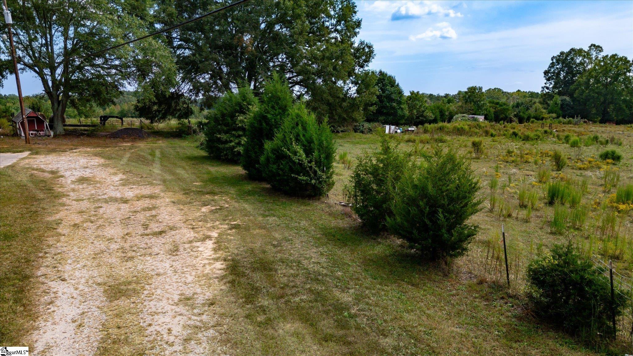 169 Cooley Bridge Road Pelzer, SC 29669 - Photo 7 of 24