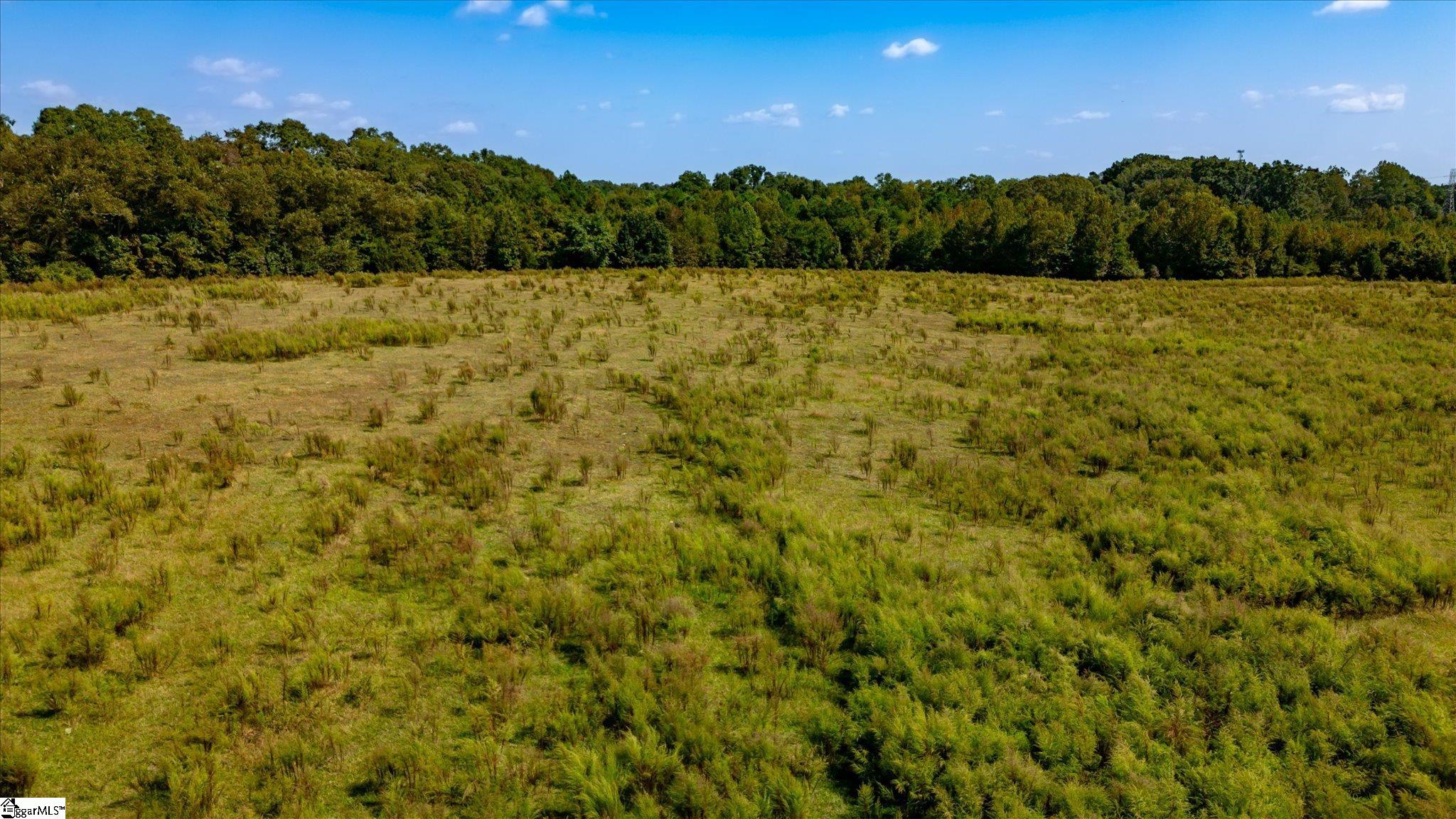 169 Cooley Bridge Road Pelzer, SC 29669 - Photo 8 of 24