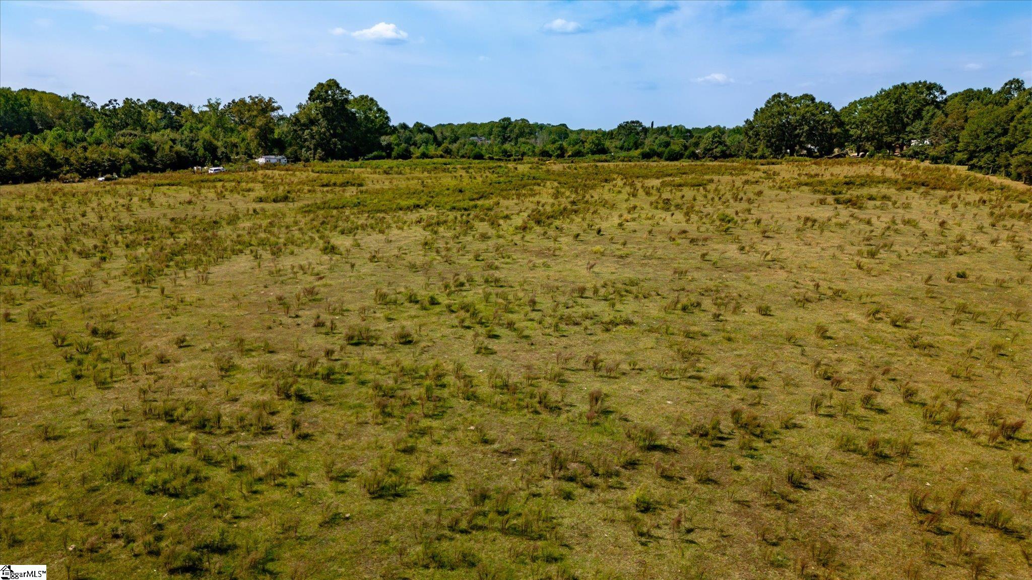 169 Cooley Bridge Road Pelzer, SC 29669 - Photo 9 of 24