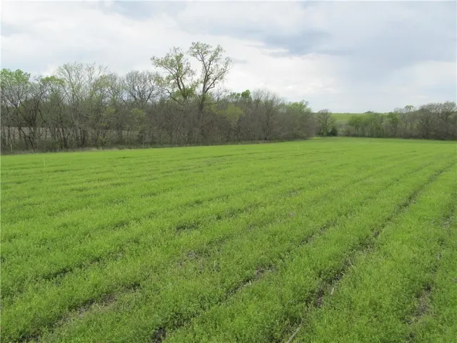 $710,125 | Northeast Hinchey Lane, Lathrop, MO 64465