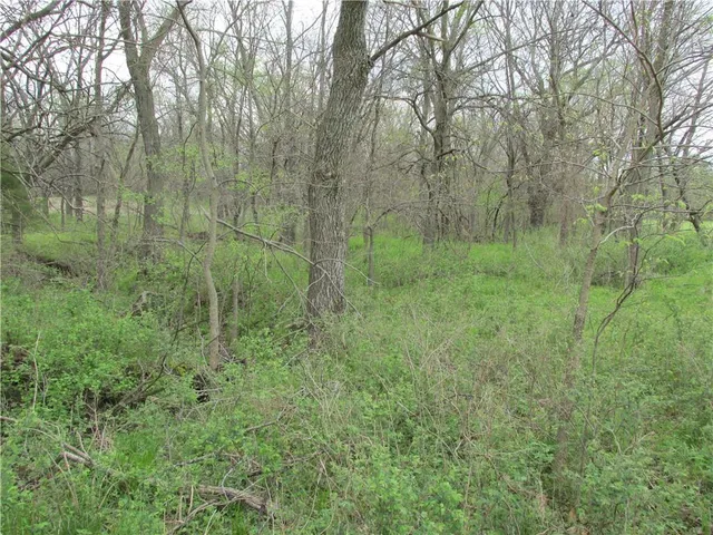 $710,125 | Northeast Hinchey Lane, Lathrop, MO 64465