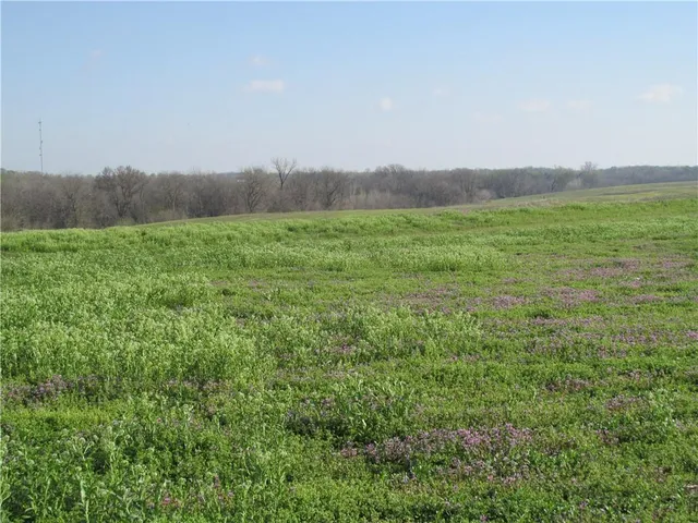 $710,125 | Northeast Hinchey Lane, Lathrop, MO 64465