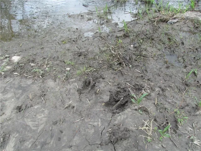 $710,125 | Northeast Hinchey Lane, Lathrop, MO 64465