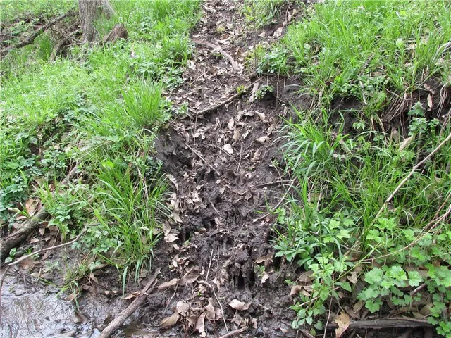 $710,125 | Northeast Hinchey Lane, Lathrop, MO 64465