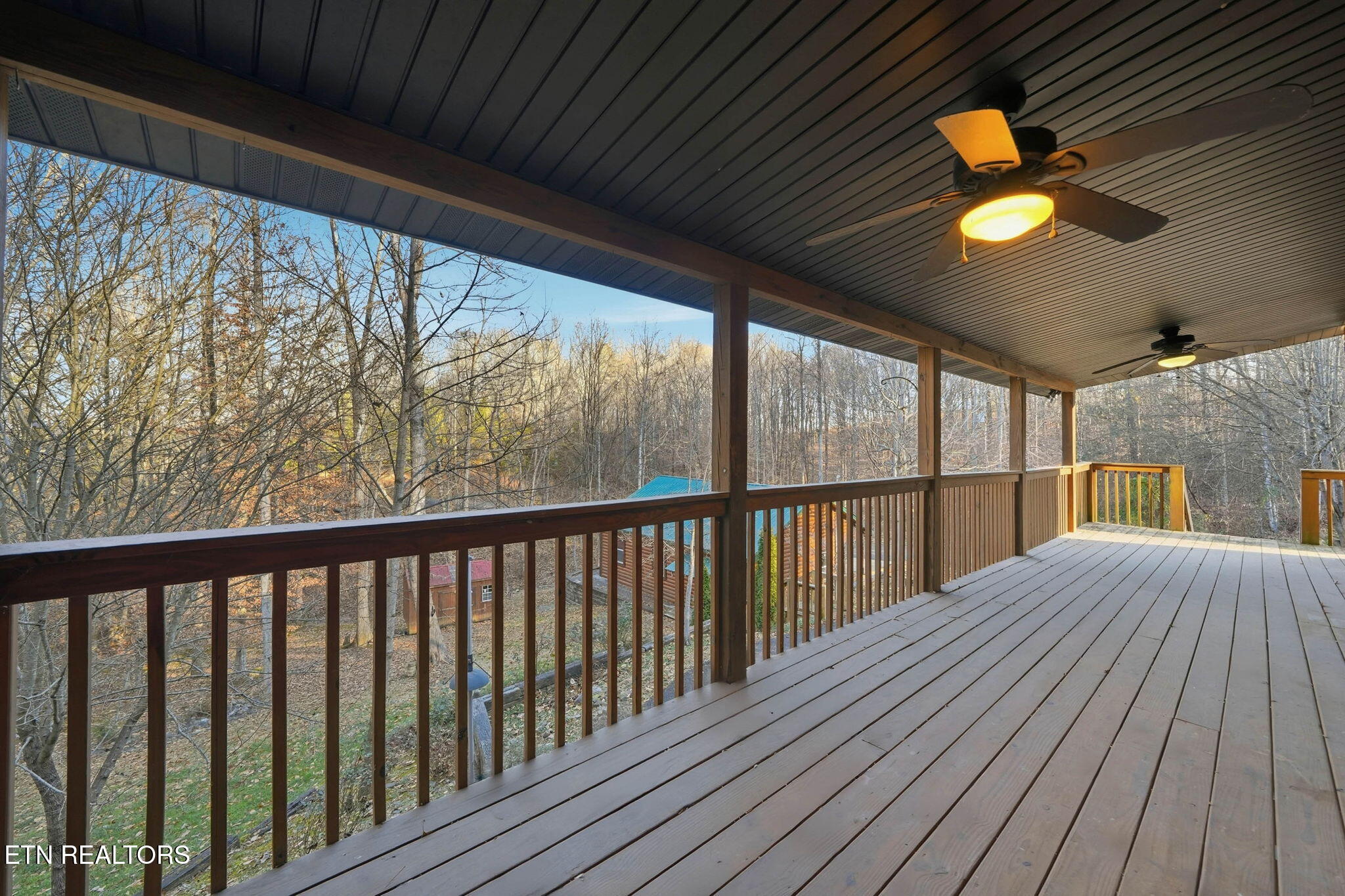 320 Muscadine Court Sevierville, TN 37876 - Photo 44 of 55 25-web-or-mls-320 muscadine-29