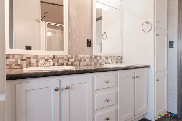 a bathroom with a sink and a mirror