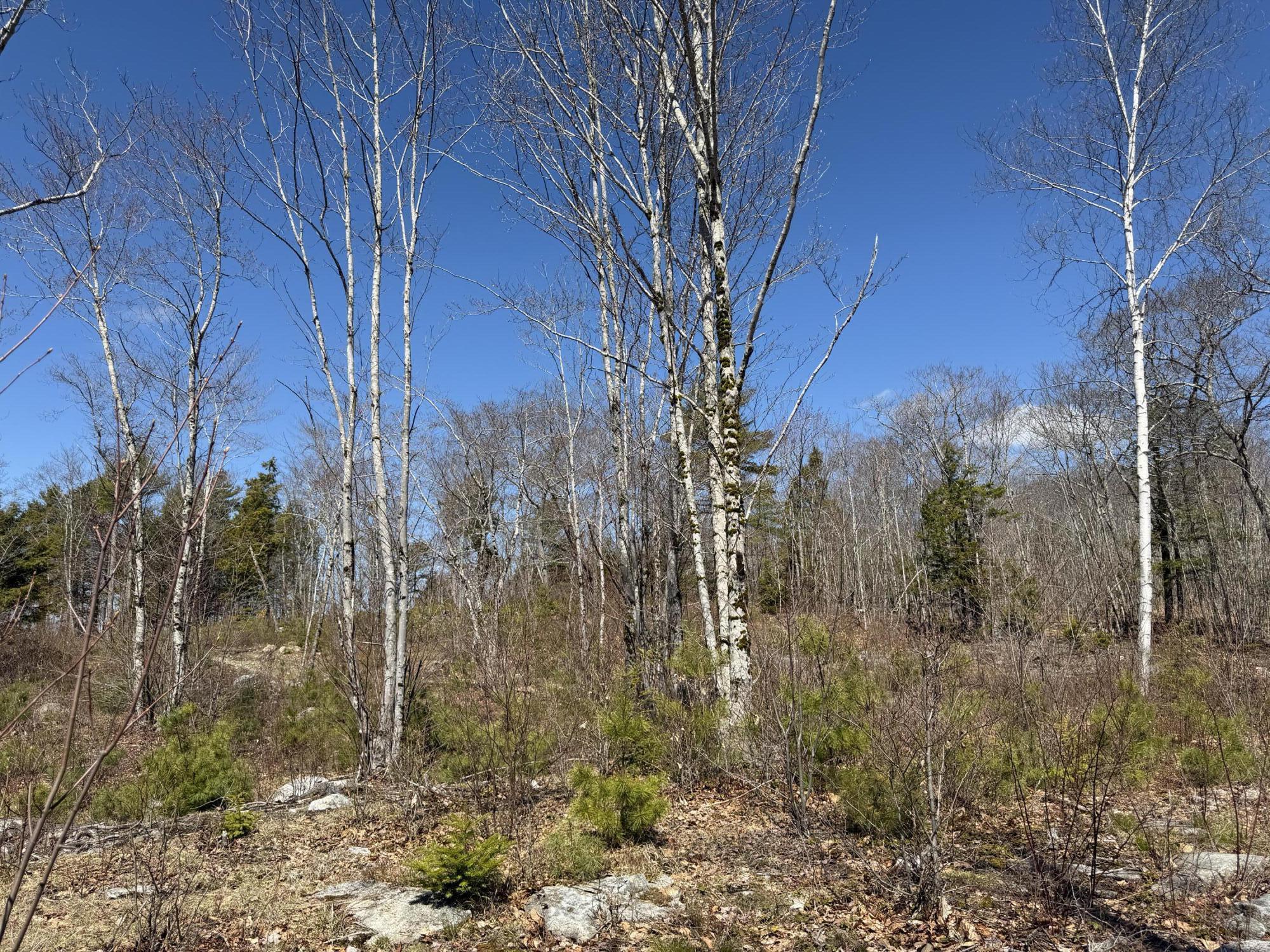 M10-l39b Christian Hill Road Bristol, ME 04539 - Photo 13 of 23 IMG_8703