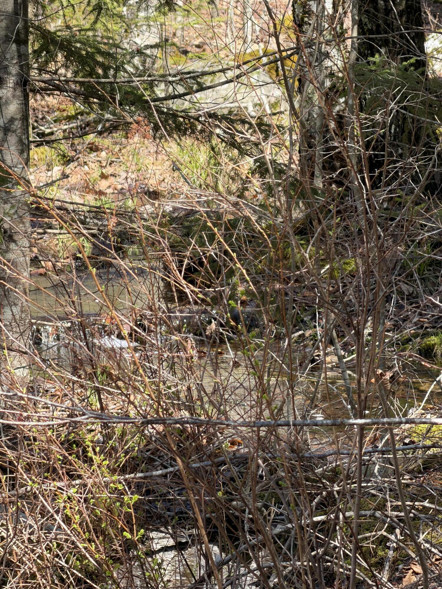 M10-l39b Christian Hill Road Bristol, ME 04539 - Photo 23 of 23 IMG_8724