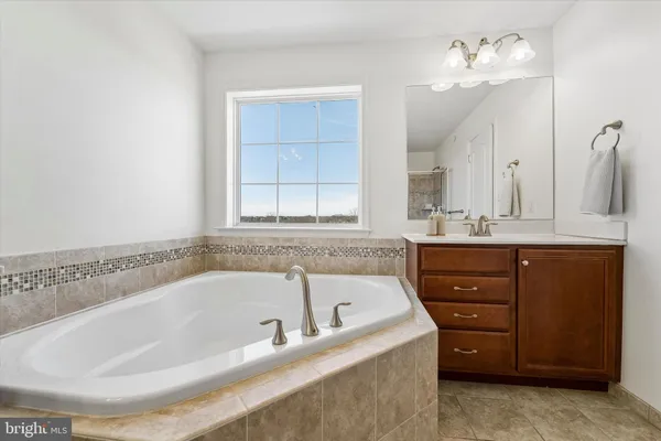 a bathroom with a tub a double vanity sink and a mirror