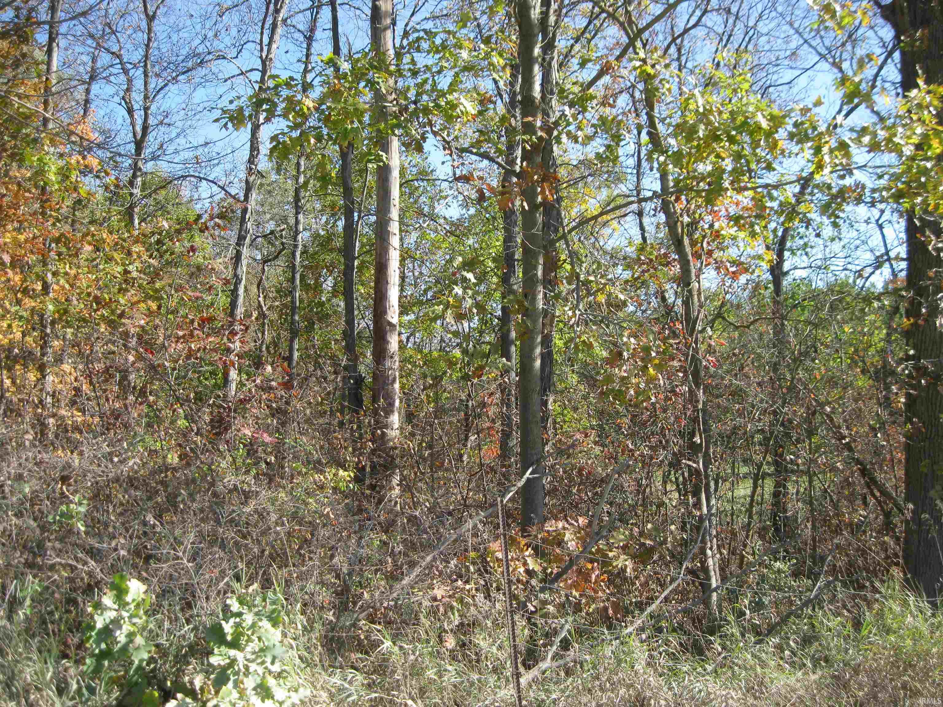 1 Road Butler In 46721 Butler, IN 46721 - Photo 11 of 13