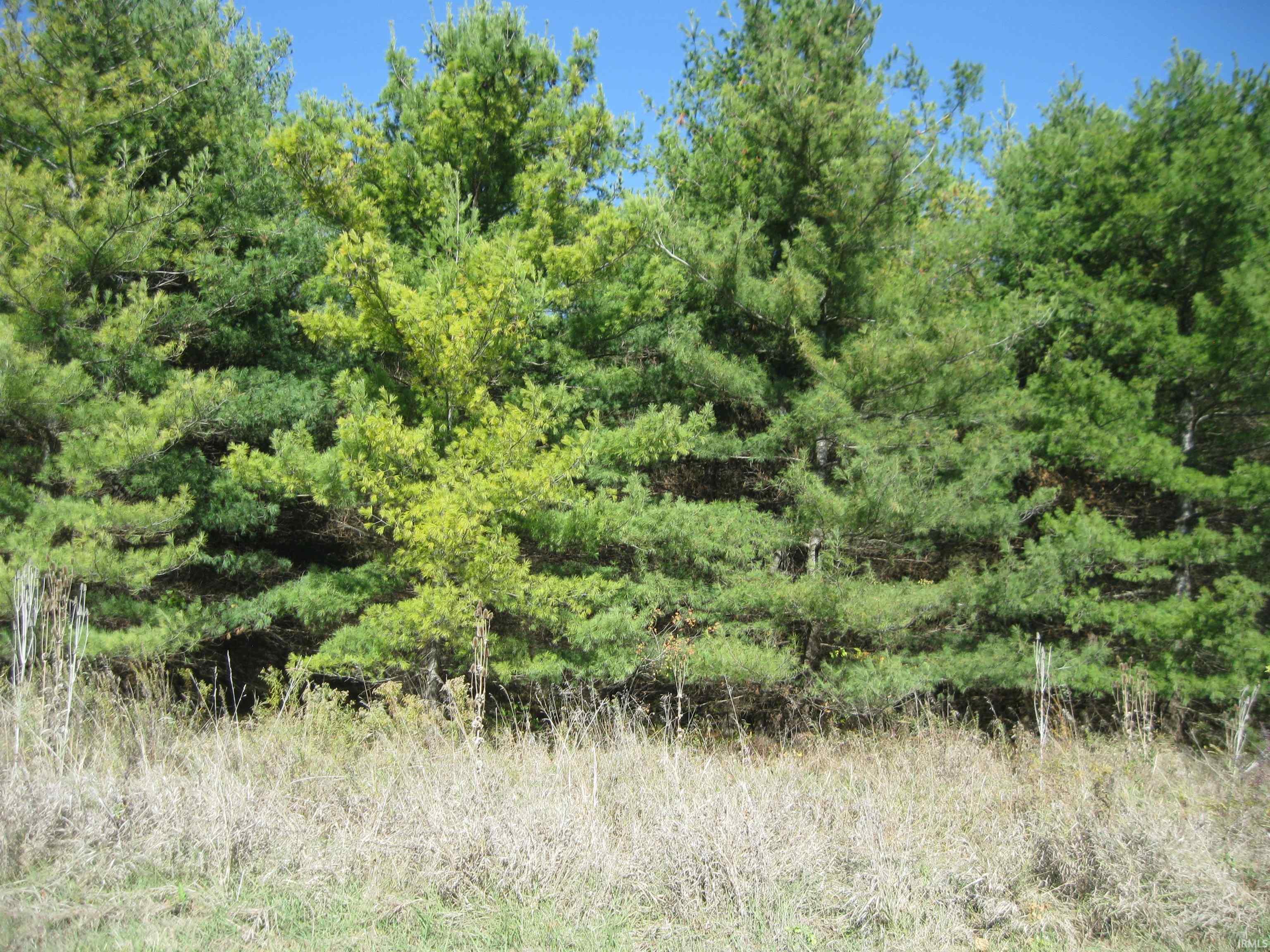 1 Road Butler In 46721 Butler, IN 46721 - Photo 12 of 13