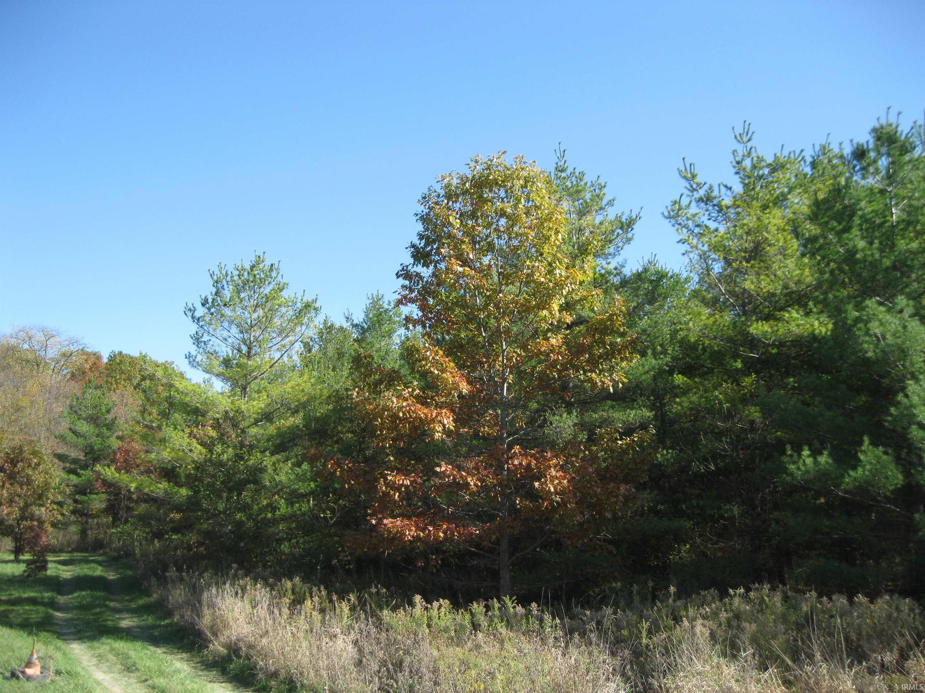 1 Road Butler In 46721 Butler, IN 46721 - Photo 3 of 13