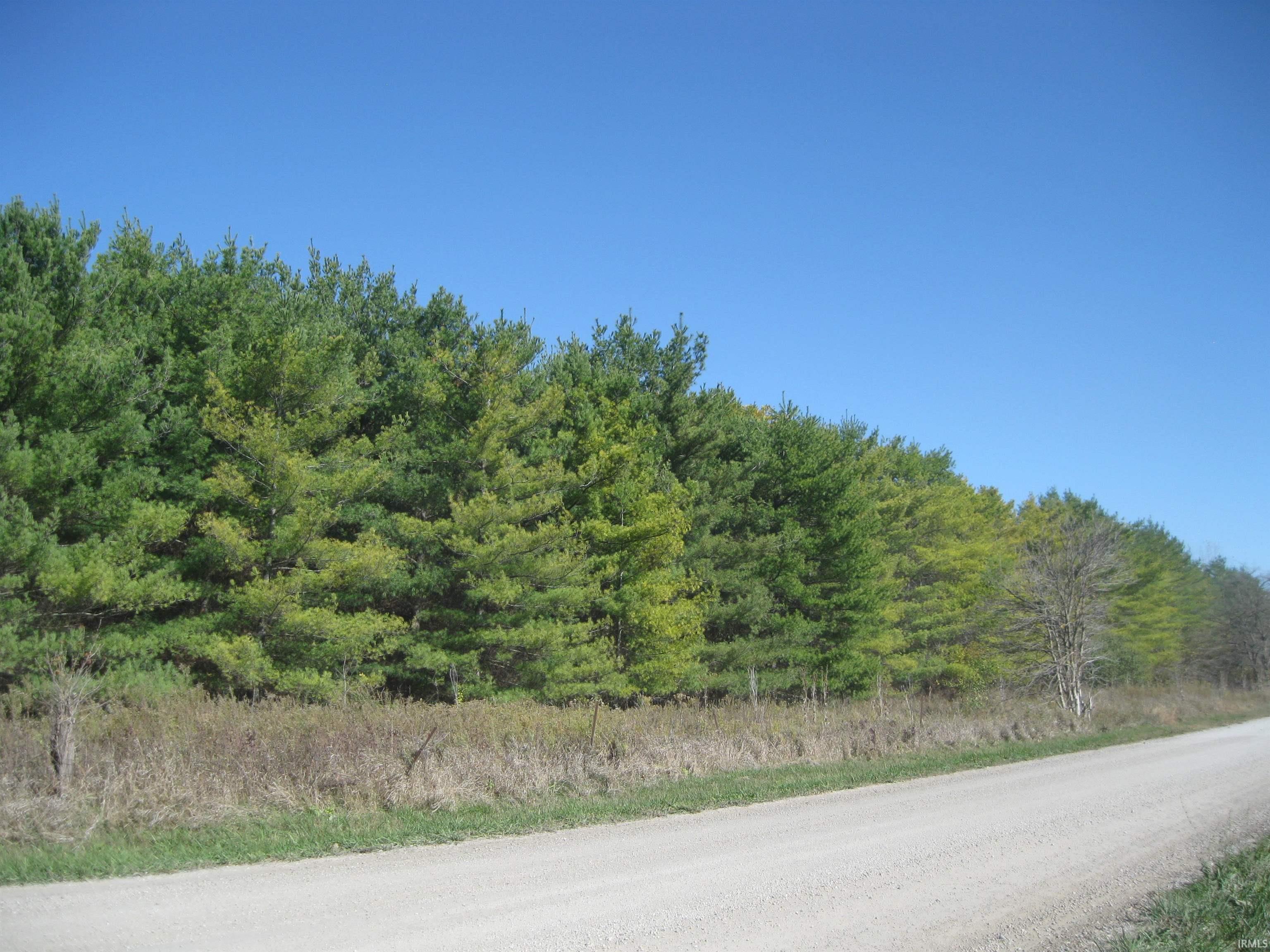 1 Road Butler In 46721 Butler, IN 46721 - Photo 4 of 13