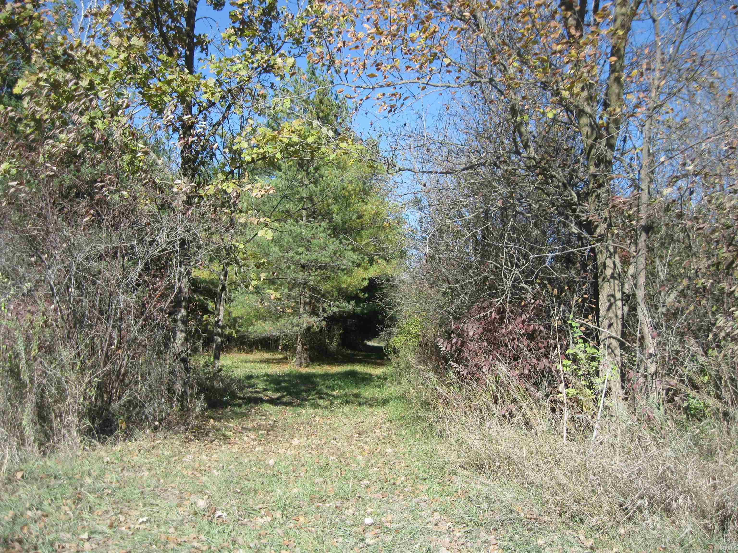 1 Road Butler In 46721 Butler, IN 46721 - Photo 5 of 13