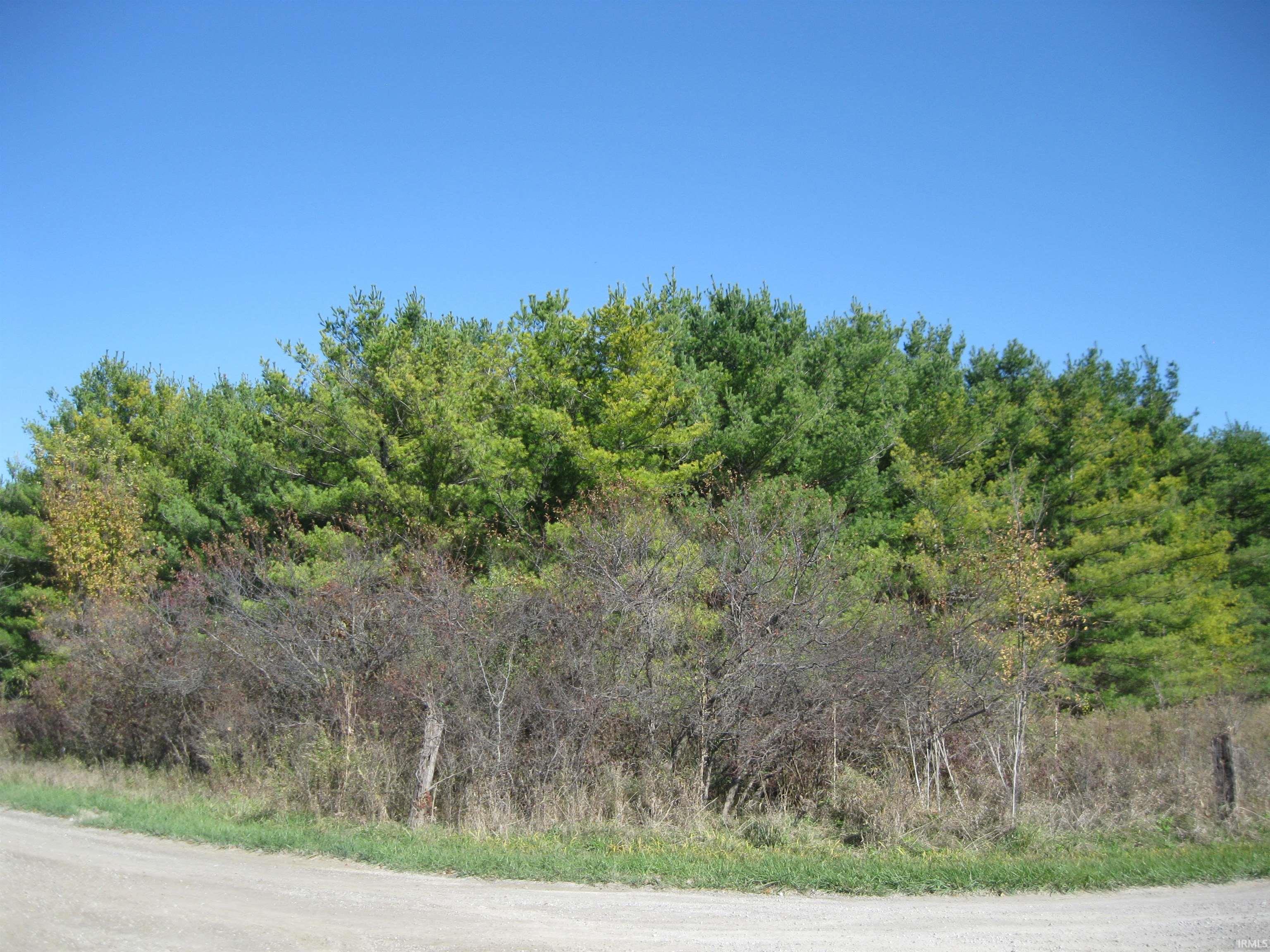 1 Road Butler In 46721 Butler, IN 46721 - Photo 6 of 13