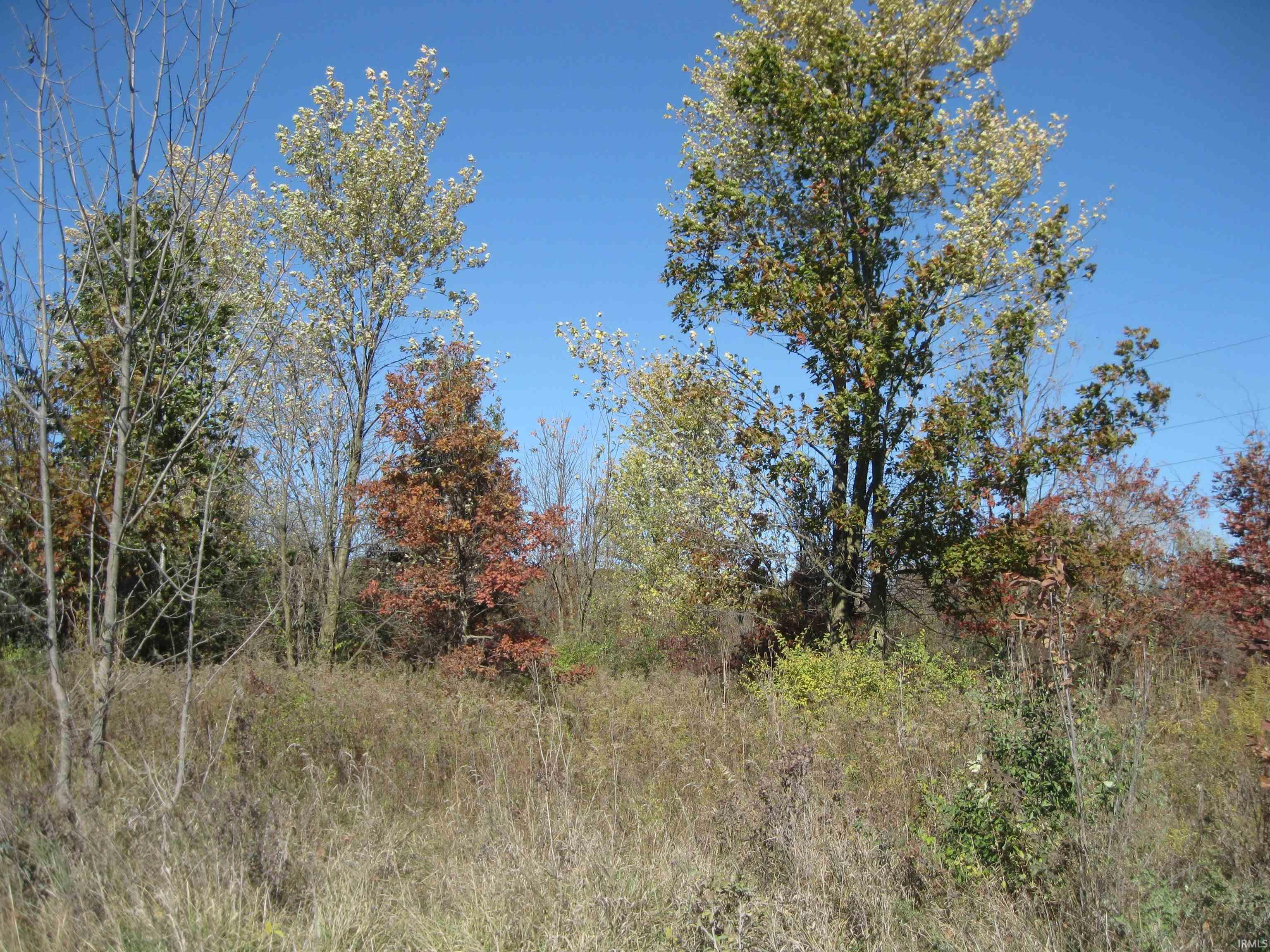 1 Road Butler In 46721 Butler, IN 46721 - Photo 9 of 13