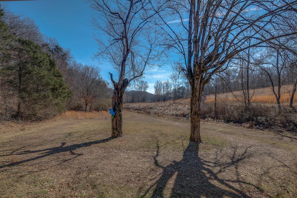 1180 County Farm Road Centerville, TN 37033 - Photo 4 of 28 Gallery Image 4