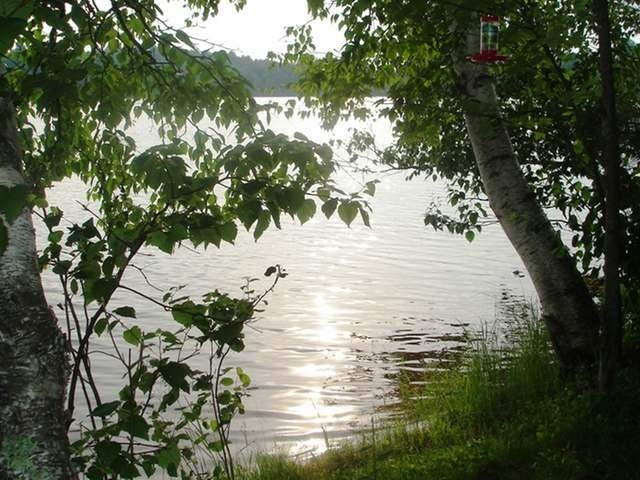 On Callahan Road Tomahawk, WI 54487 - Photo 4 of 18 Gallery Image 4