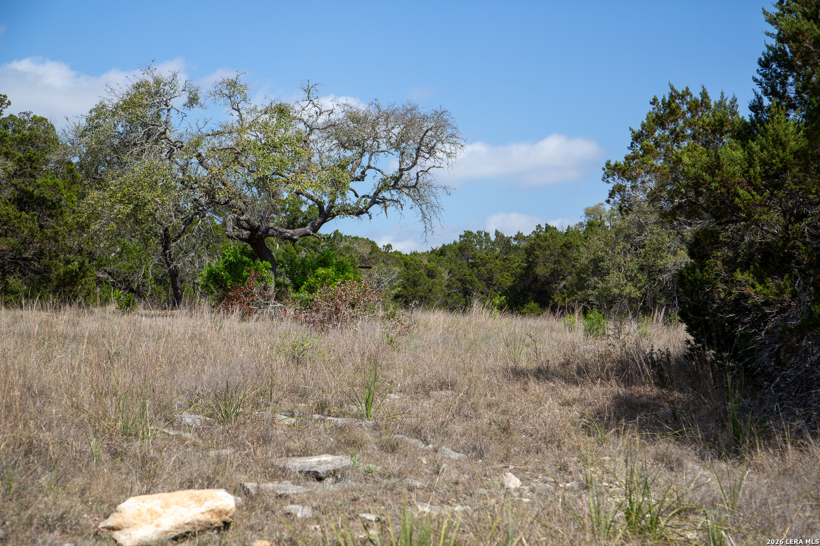 Tbd Rustling Ridge Bulverde, TX 78163 - Photo 32 of 42
