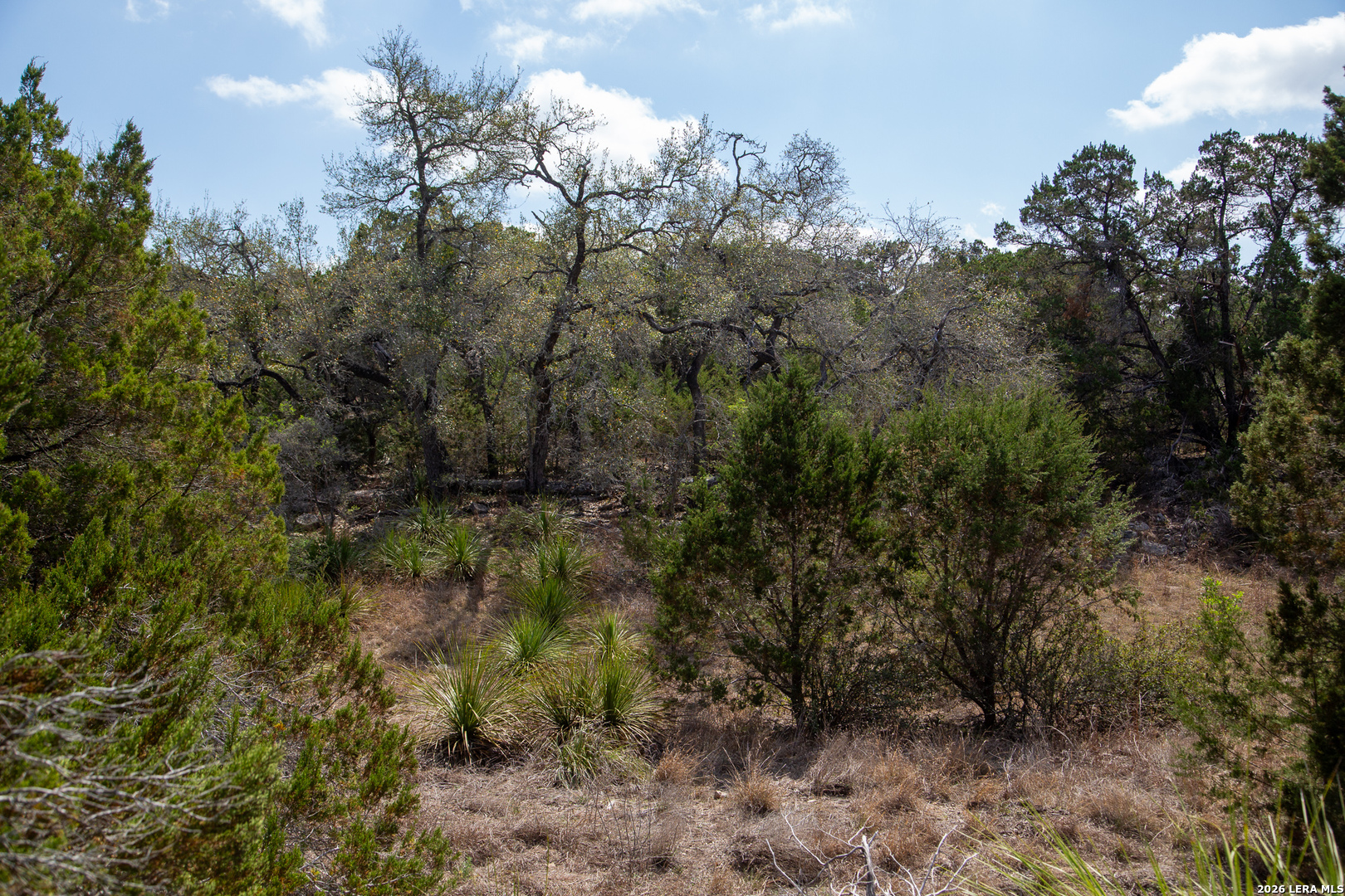 Tbd Rustling Ridge Bulverde, TX 78163 - Photo 33 of 42
