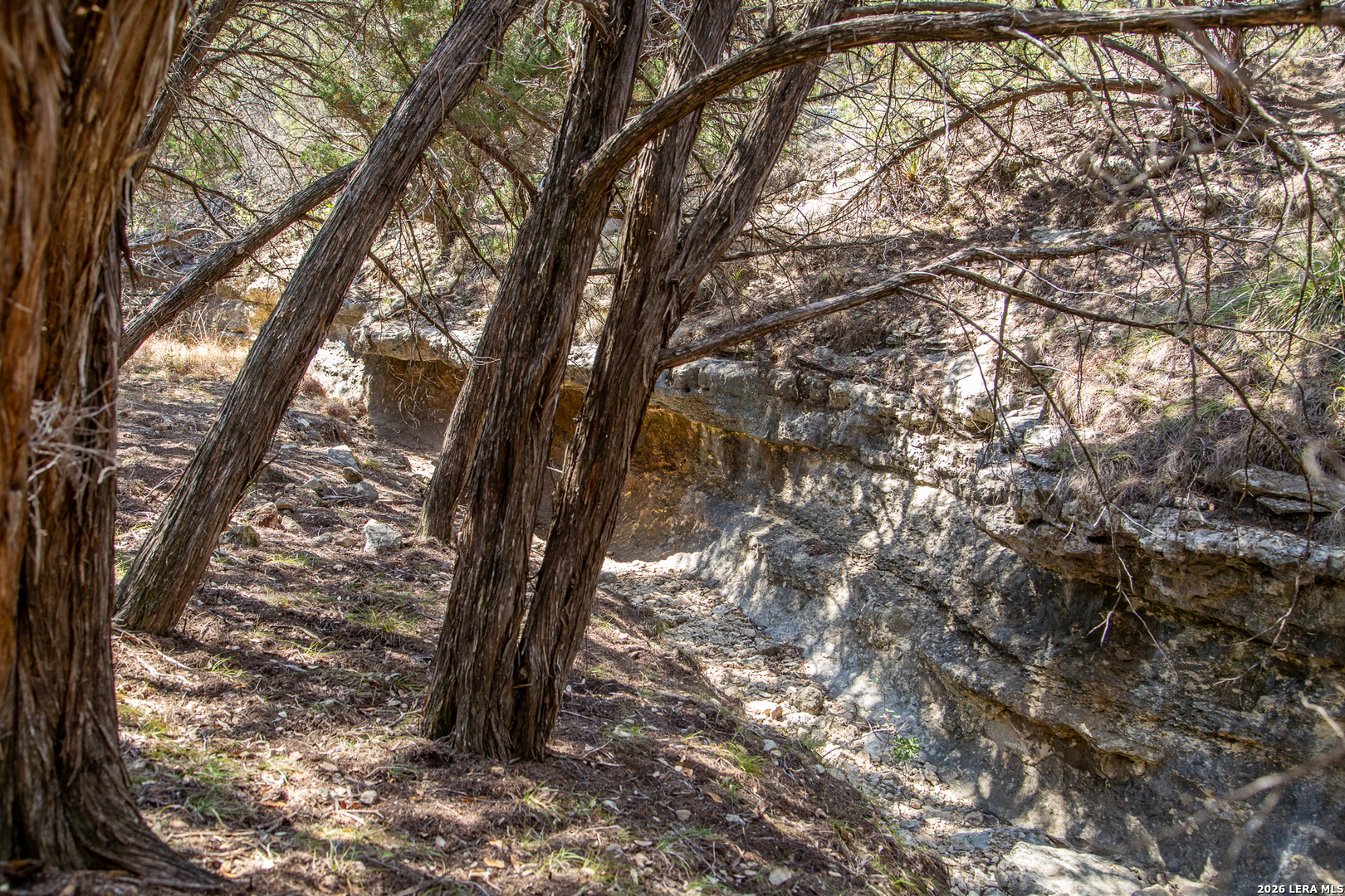 Tbd Rustling Ridge Bulverde, TX 78163 - Photo 38 of 42