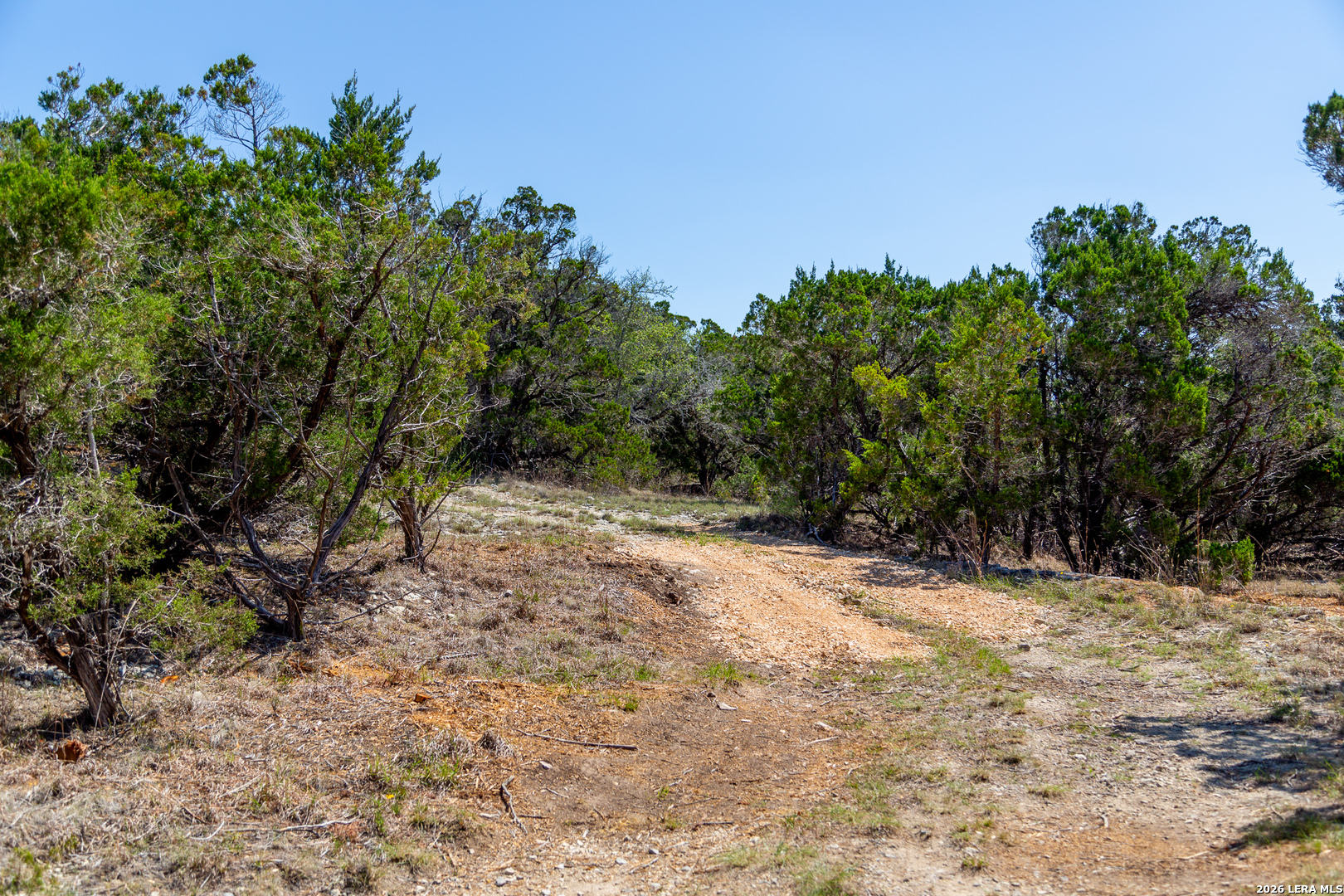 Tbd Rustling Ridge Bulverde, TX 78163 - Photo 42 of 42