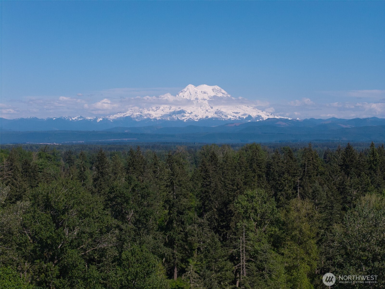 1716 304th Street East Roy, WA 98580 - Photo 20 of 21