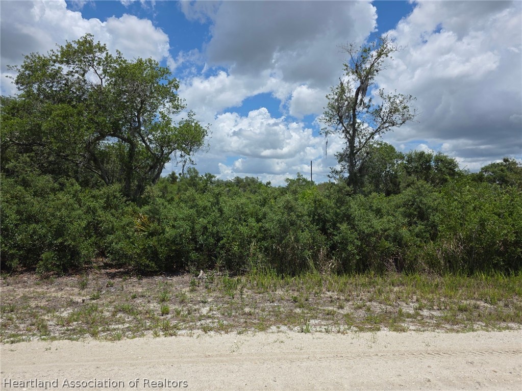 2052 West Lowen Road Avon Park, FL 33825 - Photo 1 of 3