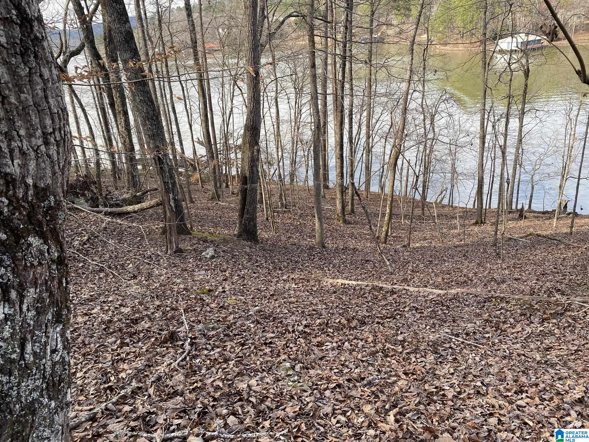 Mohawk Cliff Road, Unit 5 Ohatchee, AL 36271 - Photo 5 of 14