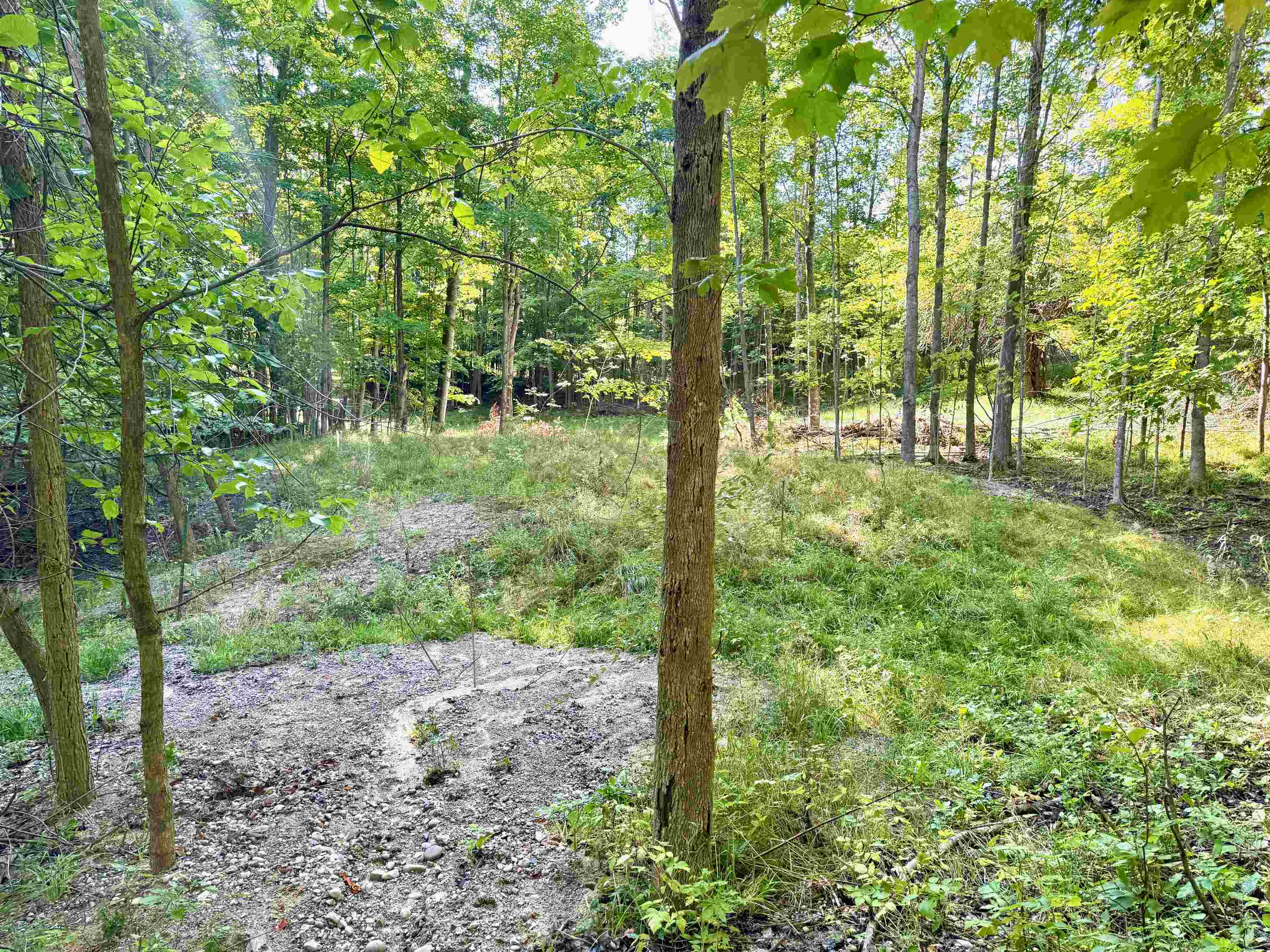161 West Nachazel Road Maple City, MI 49664 - Photo 17 of 18