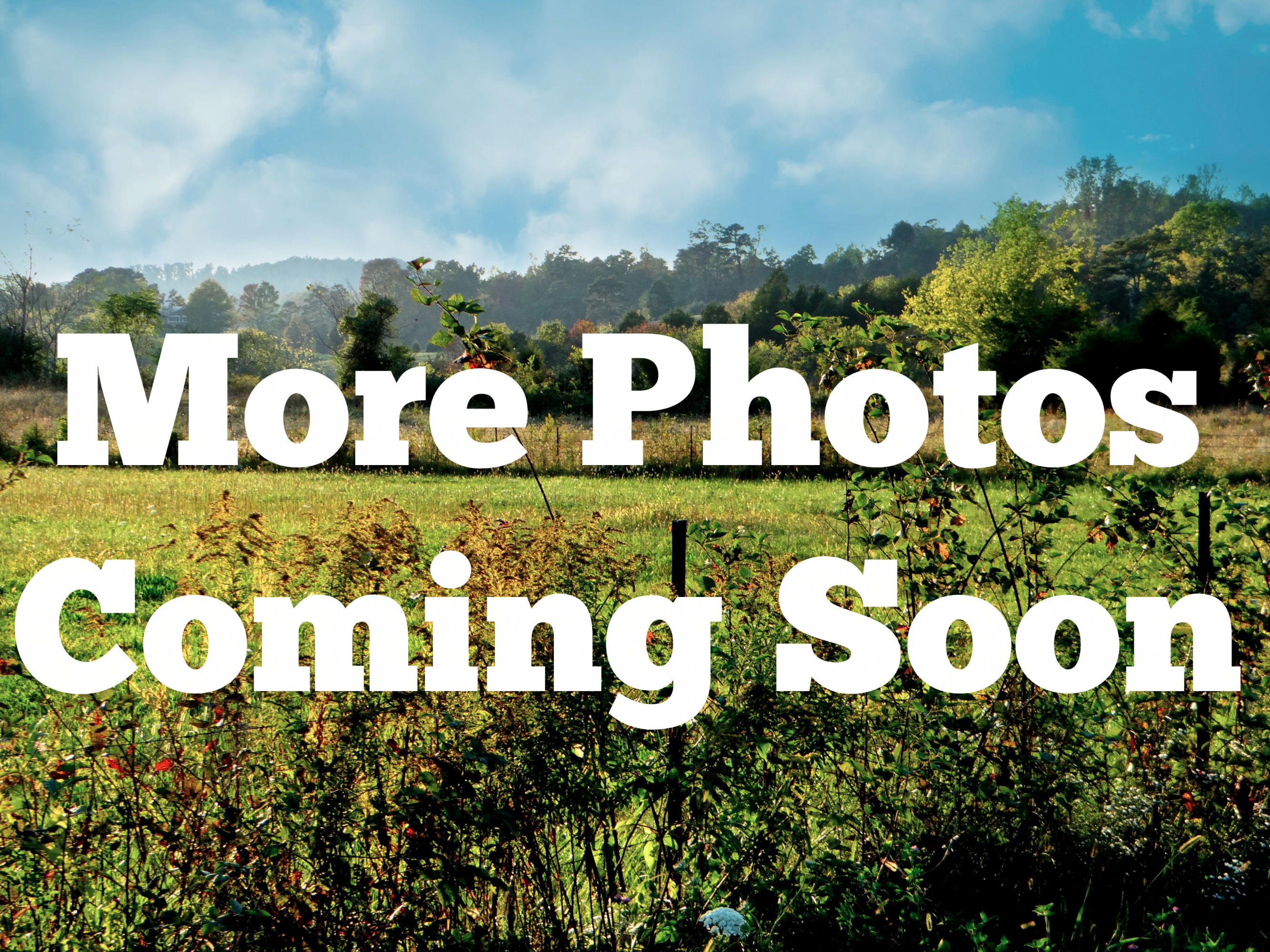 7129 Ball Road Knoxville, TN 37931 - Photo 3 of 3 MorePhotosComingSoon