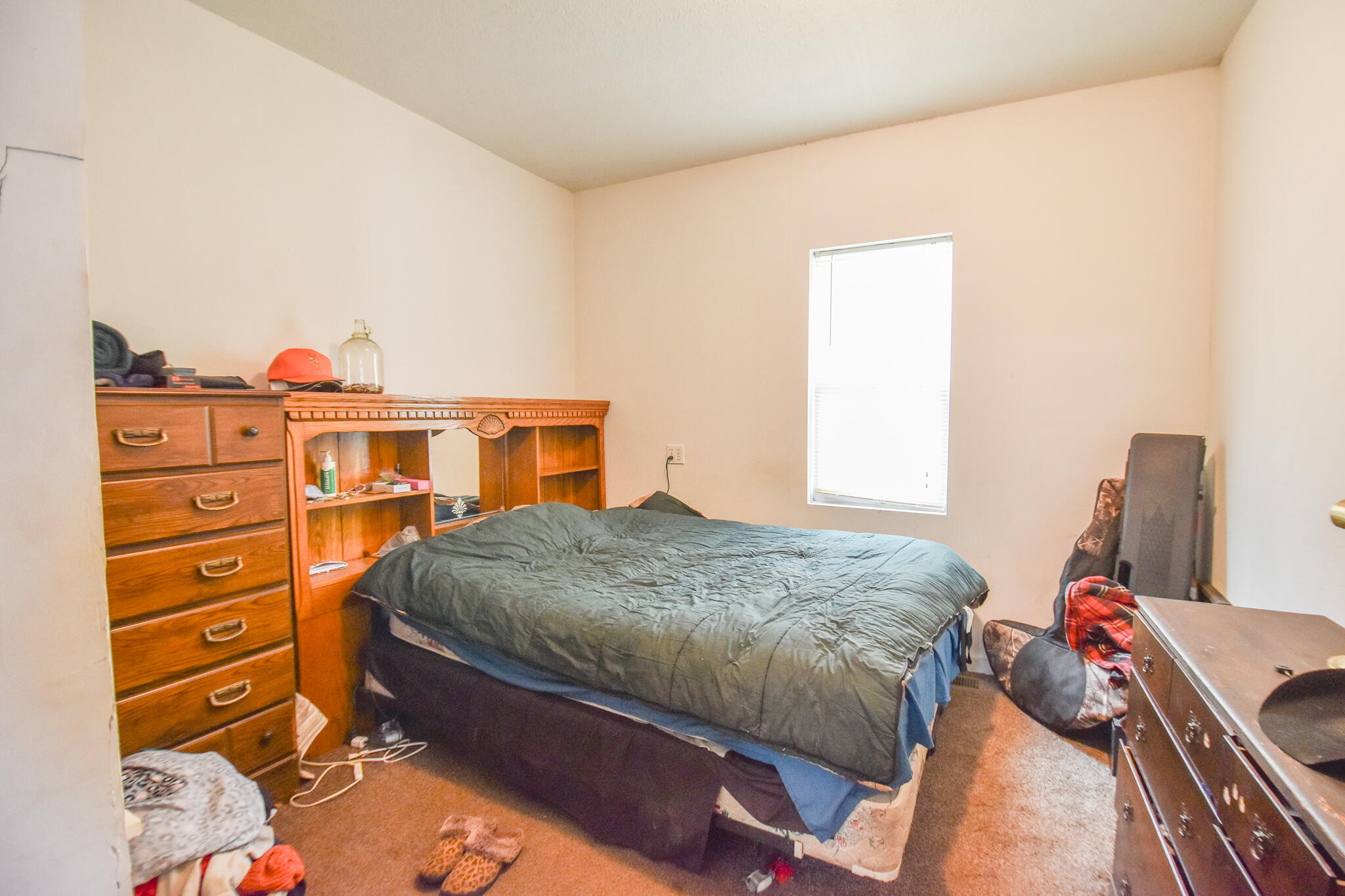 854 Braucker Road Union City, MI 49094 - Photo 21 of 32 DSC_0149