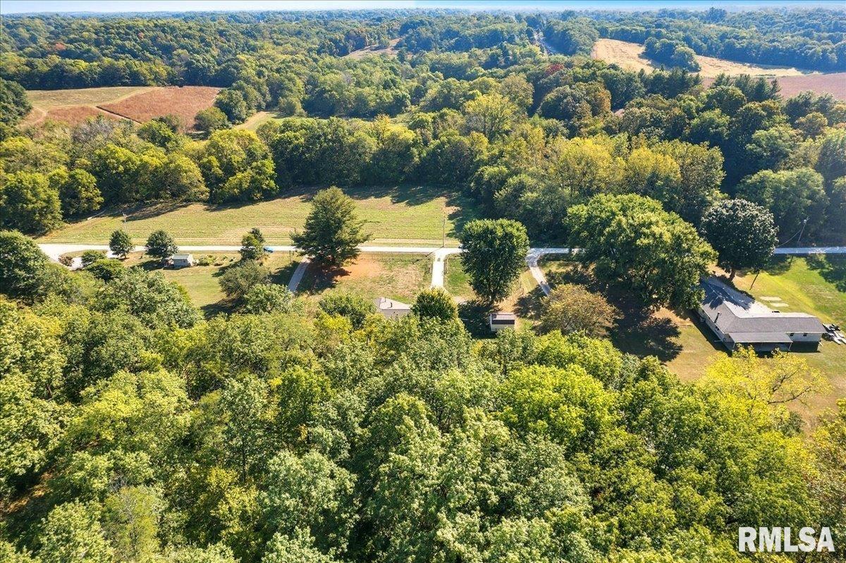 5317 South Croy Lane Mapleton, IL 61547 - Photo 29 of 36