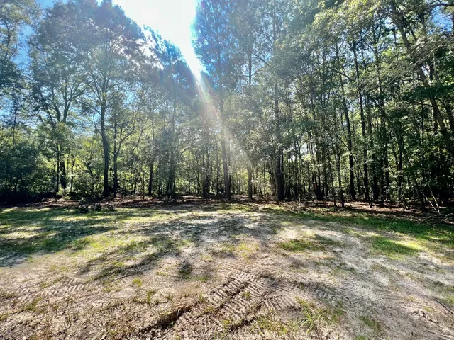 $249,900 | 2 Evangelist, Early Branch, SC 29916