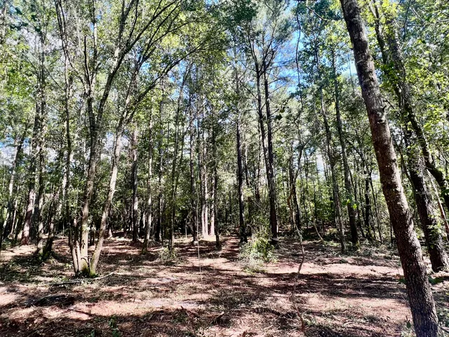 $249,900 | 2 Evangelist, Early Branch, SC 29916