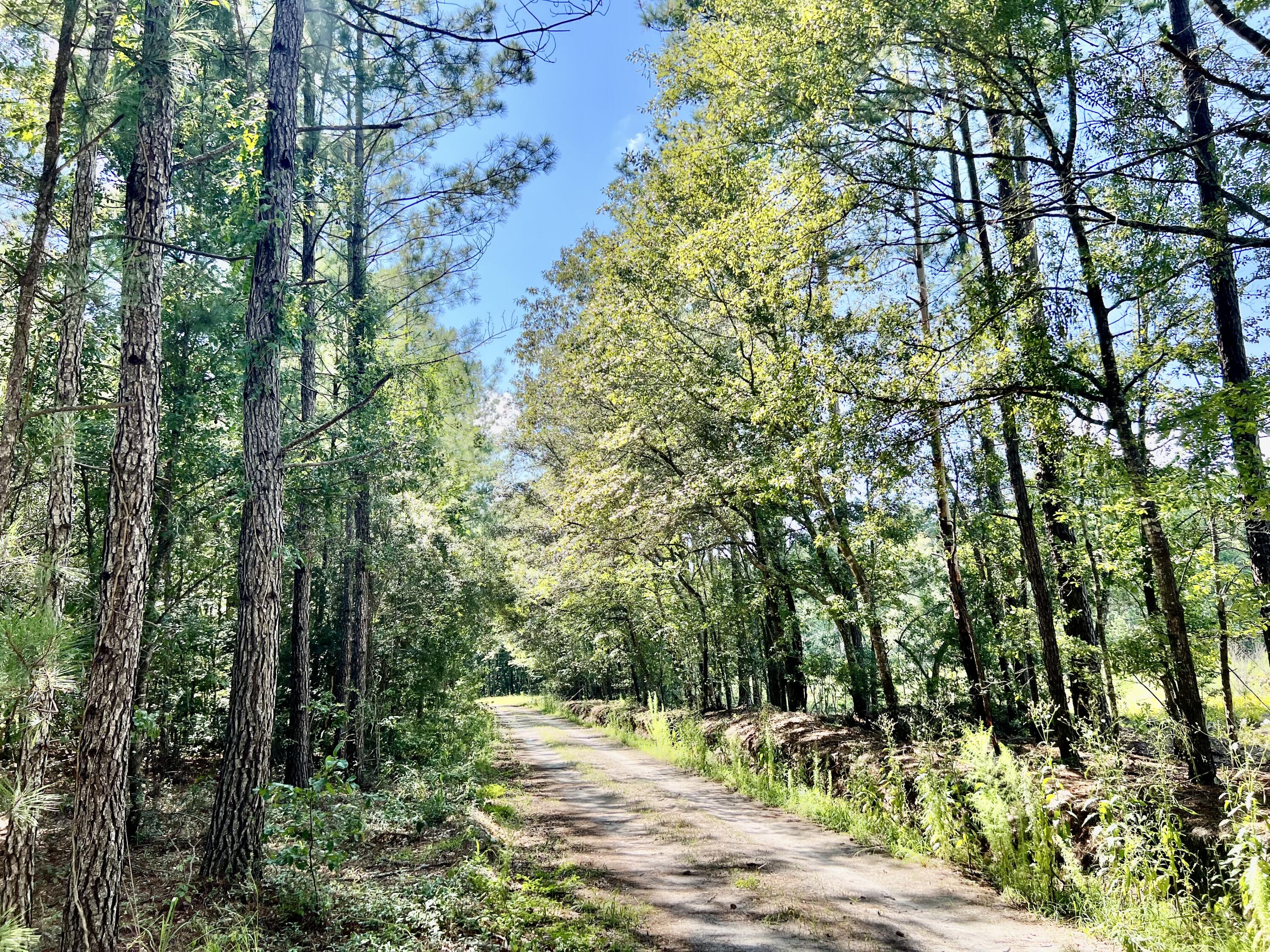 2 Evangelist Early Branch, SC 29916 - Photo 17 of 29 E5F8F7C1-9724-40A4-9AB8-93486F4B52D2