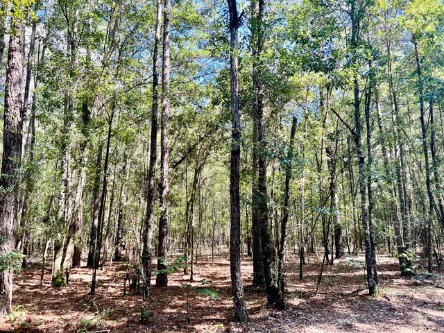 $249,900 | 2 Evangelist, Early Branch, SC 29916