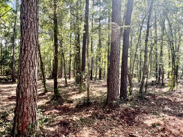 $249,900 | 2 Evangelist, Early Branch, SC 29916