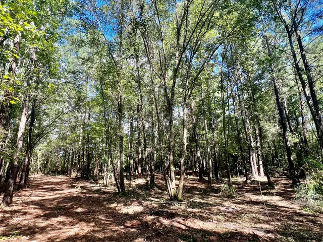 $249,900 | 2 Evangelist, Early Branch, SC 29916