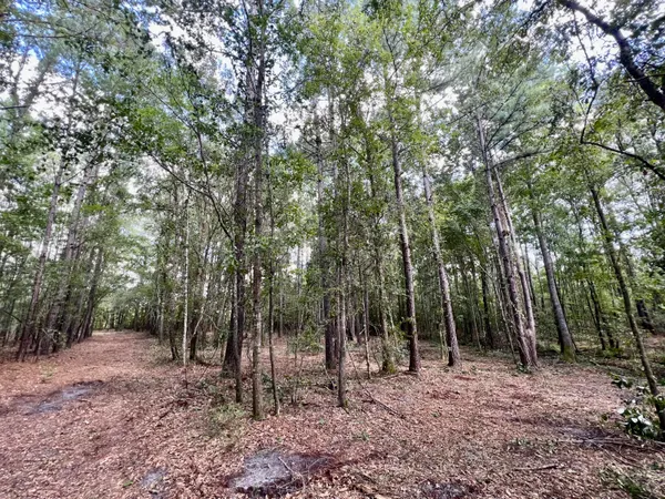 $249,900 | 2 Evangelist, Early Branch, SC 29916