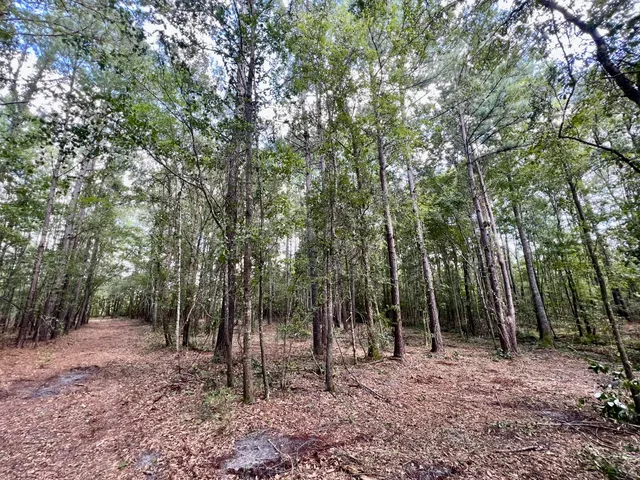 $249,900 | 2 Evangelist, Early Branch, SC 29916