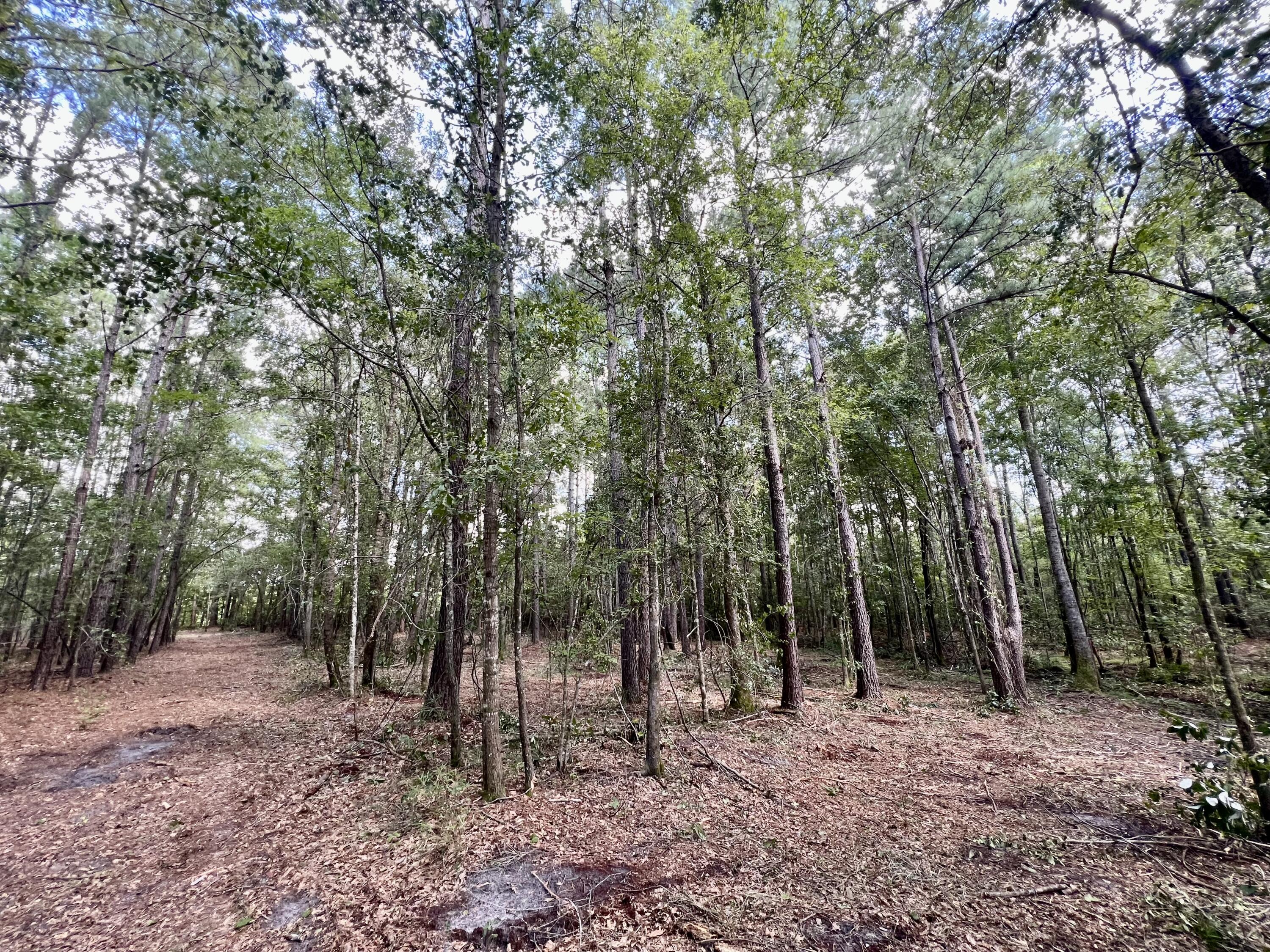 2 Evangelist Early Branch, SC 29916 - Photo 21 of 29 121F5D2C-8A3B-4094-BC6A-DD9BD1C31D84