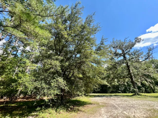 $249,900 | 2 Evangelist, Early Branch, SC 29916