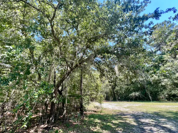 $249,900 | 2 Evangelist, Early Branch, SC 29916