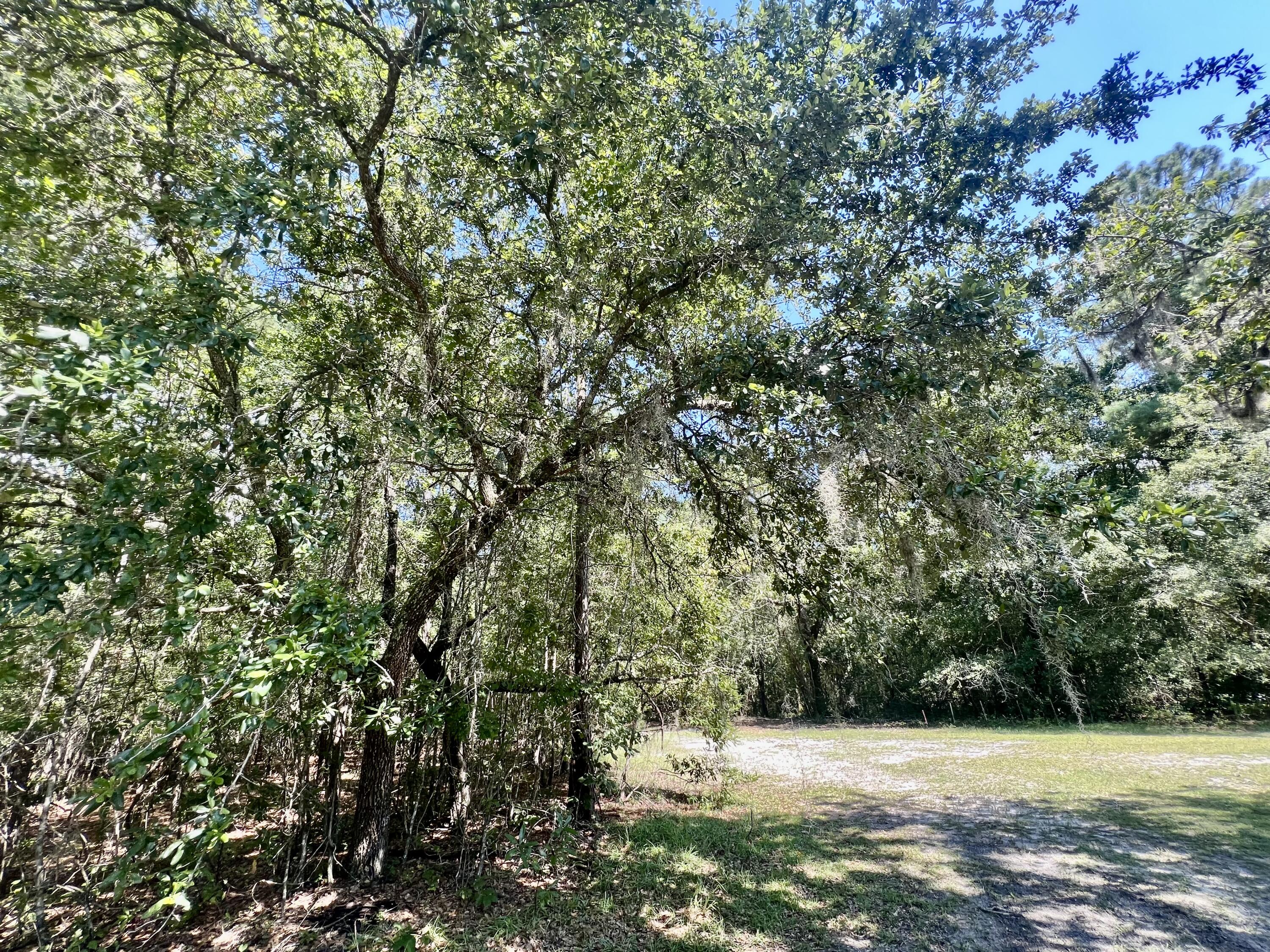 2 Evangelist Early Branch, SC 29916 - Photo 8 of 29 181494E2-1695-46F4-9A47-248FE964AC78