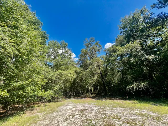 $249,900 | 2 Evangelist, Early Branch, SC 29916